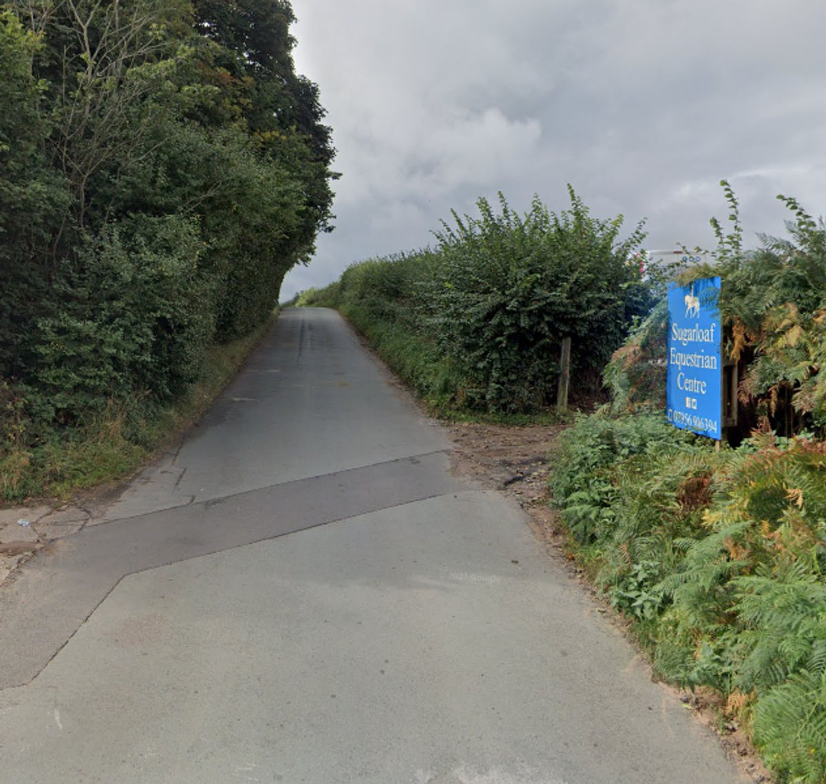 Police probe launched after two deliberate fires at south Staffordshire property leaving two horses dead