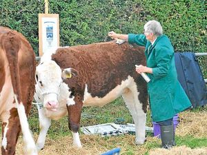Supporting image for story: Crowds enjoy Minsterley Show in the sunshine