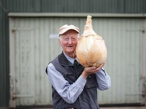 Supporting image for story: Pumpkins, onions and parsnips on display at giant vegetables competition