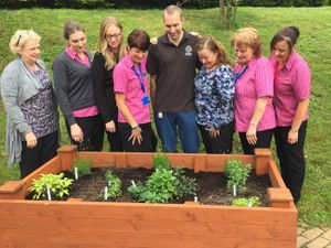 Supporting image for story: Patients make planters at Ludlow surgery