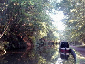 Supporting image for story: New anti-vandal lock causes Shropshire border canal bridge chaos