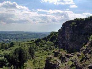 Supporting image for story: Moving to Oswestry