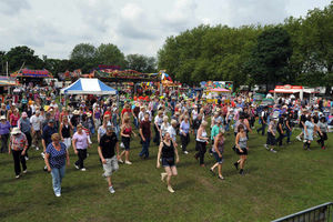 Revellers enjoying the music at last year's Wolvestock Festival in Wolverhampton