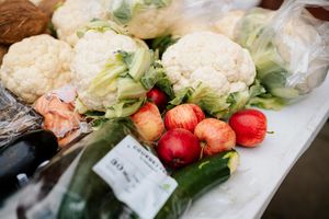 Grubs up at the Gains Park food share