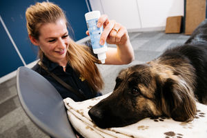 Emma Mellor with Mike demonstrating co-operative care training