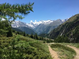 Supporting image for story: Travel review: An alpine piece of paradise in Aosta Valley