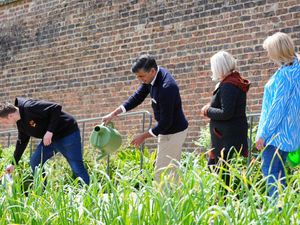 Supporting image for story: Harper agrees Sunak made ‘mistake’ by leaving D-Day events early amid Tory anger