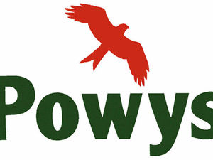 Supporting image for story: Powys County Council salaries and travel expenses sees yearly pay reach £1.32 million