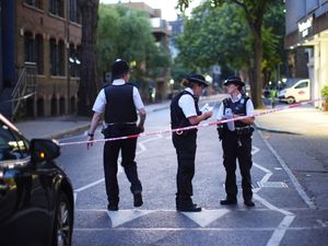 Supporting image for story: Two men who died after stabbing in central London named as father and son