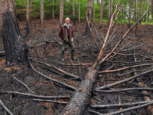 Supporting image for story: Forest fire damage hits £100k