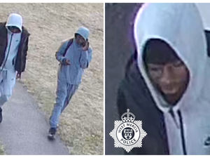 Supporting image for story: Thieves snatch gold chain from victim in Hagley alleyway