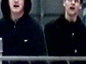 Supporting image for story: Gallery of fan suspects