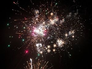 Supporting image for story: Shropshire Council to lobby government over noisy firework displays while promoting 'silent' events