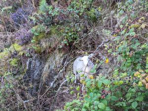 Supporting image for story: Bleat that! RSPCA rescuers 'baa' at stranded ewe and she shows them where she is