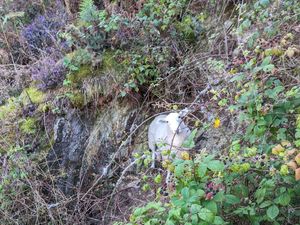 Supporting image for story: Bleat that! RSPCA rescuers 'baa' at stranded ewe and she shows them where she is