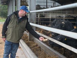 Supporting image for story: ‘It’s a grim picture’ - Shropshire farmers lament the ‘second worst harvest on record’ as they suffer from summer heatwave