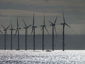 Supporting image for story: Auctions to fund renewables increased to every year to boost green energy