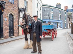 Supporting image for story: Blists Hill Victorian Museum to host annual Heavy Horse Weekend 