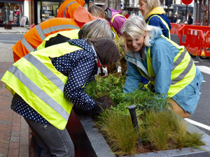 Supporting image for story: Scheme to help enhance street in Oswestry