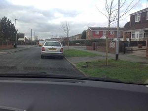 Supporting image for story: Tree Replacements and New Tree Requests – Wolverhampton City Council