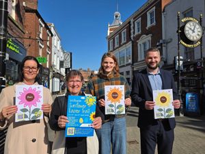 Supporting image for story: Charity Sunflower Trail to bloom in Wellington this Easter
