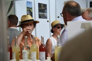 The Princess Royal at the Royal Welsh Show photo: Ruth Rees