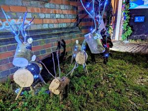 Reindeer at Delph Stables
