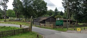 Organisers of the annual live music events at Cannock Chase will now be able to host double the number of gigs previously allowed, despite villagers living nearby raising concerns about noise and traffic