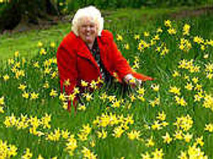 Supporting image for story: City going for gold blooms