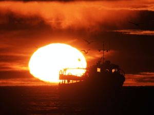 Supporting image for story