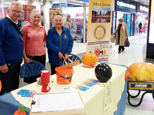 Supporting image for story: Pumpkin competition to battle polio