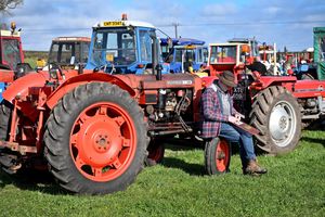 There were 140 tractors on show