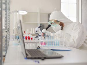 Supporting image for story: Scientists working on cancer vaccine that uses immune system’s ‘killer’ cells