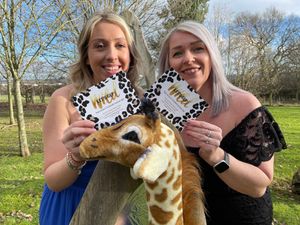 Supporting image for story: Charity getting ready to go wild with safari-themed summer ball