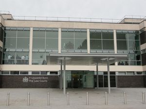 Supporting image for story: Kick boxer admits assaulting his own mother