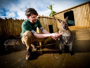 Supporting image for story: Telford's Exotic Zoo to close for public visits 