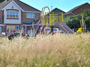 Supporting image for story: Council leader says overgrown park is serving as a deterrent