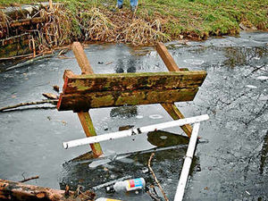 Supporting image for story: Mayor of Newport hits out at bench yobs