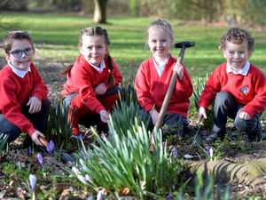 Supporting image for story: Children celebrate return to school with spring activities