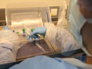 Supporting image for story: Number of worldwide confirmed Covid-19 cases passes 40 million