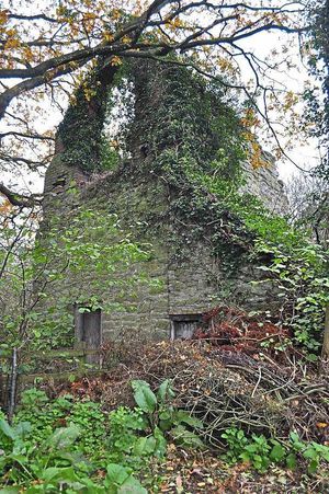 Nag's Head engine house, Pontesbury, is undergoing restoration work