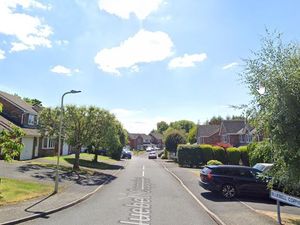 Supporting image for story: Developers fail in appeals to overturn decisions to build new homes in Telford