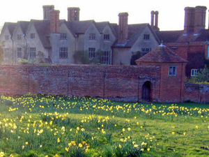 Supporting image for story: Time to bin the black box