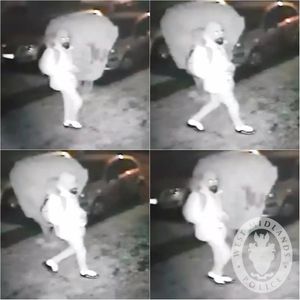 Supporting image for story