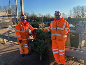 Supporting image for story: Residents urged to 'TreeCycle' after festive season