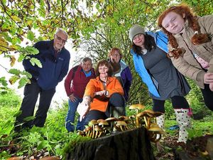 Supporting image for story: Nature walks showcasing Staffordshire mushrooms