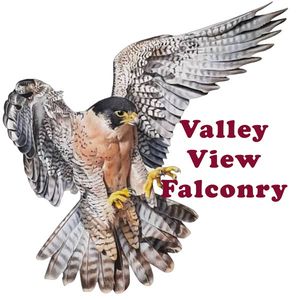 Valley View Falconry, home to a variety of birds of prey, will also be there