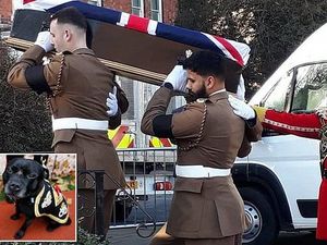 Supporting image for story: The final salute for regiment's mascot dog Watchman V