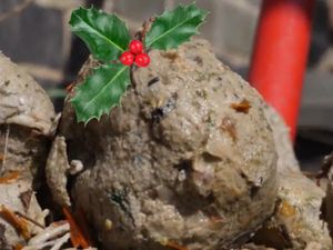 Supporting image for story: Don’t let your sink turn into a pudding problem during Stir-up Sunday