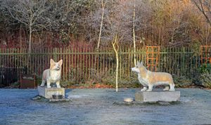 Frosty weather at Walsall Arboretum